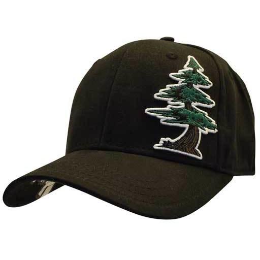 Curved Bill Stretch Hats